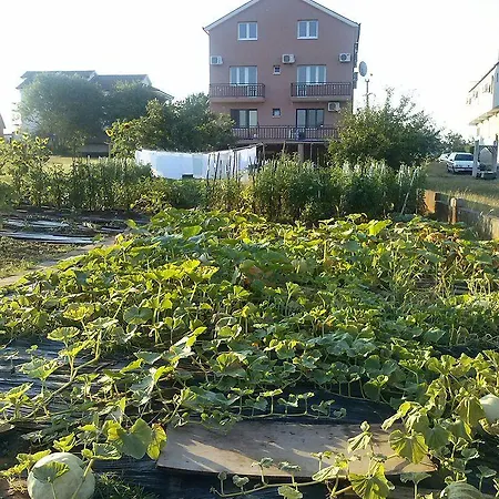 Gasthuis Pansion Ivanka Barac Međugorje
